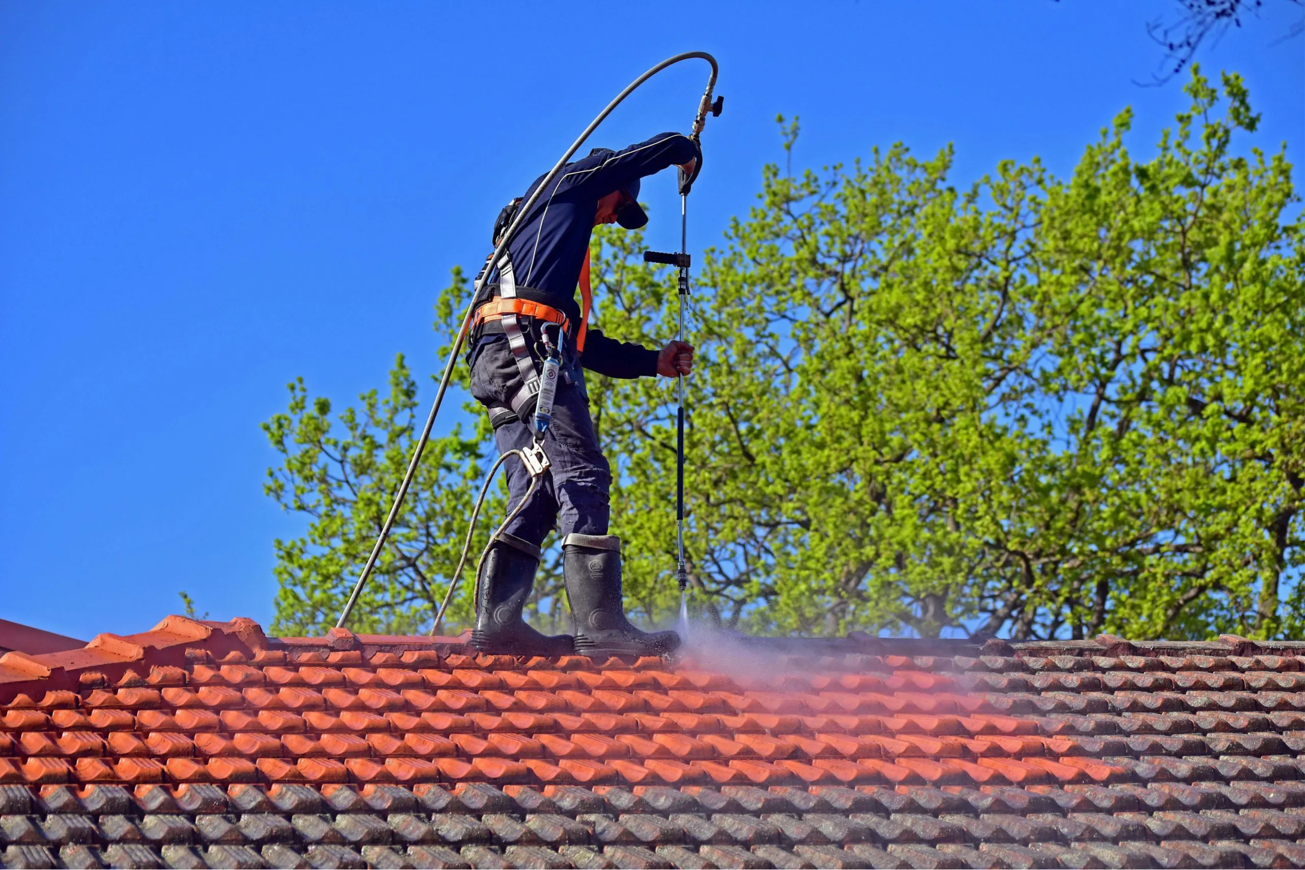Roof Cleaning
